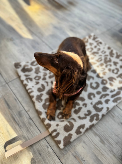 Hundedecke Leo